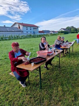 PRAZNIK ČEŠENJ 2026 V DORNAVI POVEZAL TRADICIJO, DOMAČNOST IN DOBRODELNOST foto 2